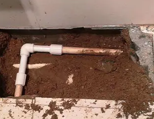 噶尔测漏水哪家好