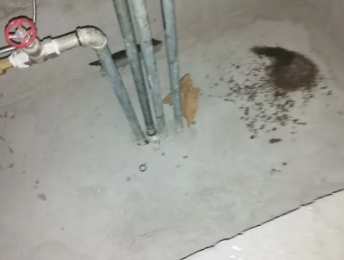 噶尔卫生间测漏水价格明细