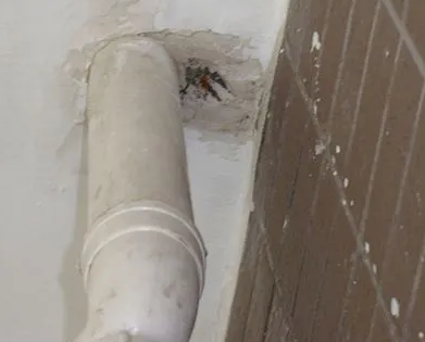 噶尔漏水检测哪家好